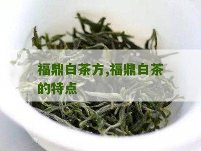 福鼎白茶方,福鼎白茶的特点