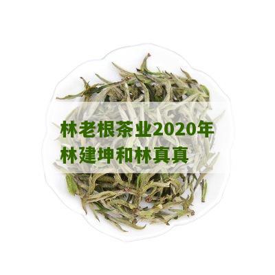 林老根茶业2020年林建坤和林真真