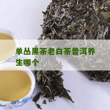 单丛黑茶老白茶普洱养生哪个