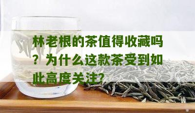 林老根的茶值得收藏吗？为什么这款茶受到如此高度关注？