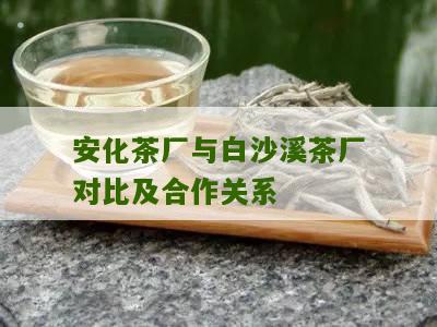 安化茶厂与白沙溪茶厂对比及合作关系