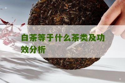 白茶等于什么茶类及功效分析