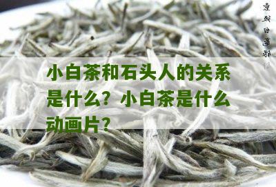 小白茶和石头人的关系是什么？小白茶是什么动画片？