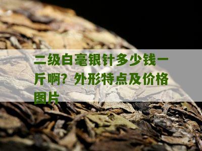 二级白毫银针多少钱一斤啊？外形特点及价格图片