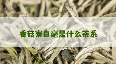 香菇寮白毫是什么茶系