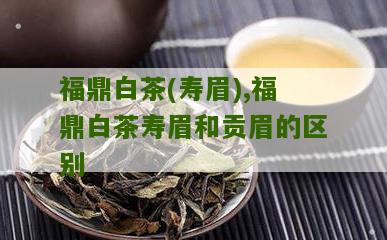 福鼎白茶(寿眉),福鼎白茶寿眉和贡眉的区别