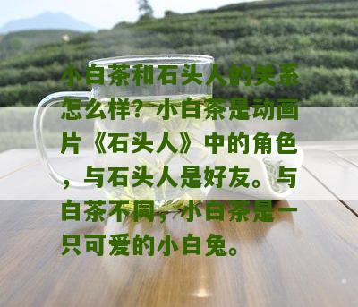 小白茶和石头人的关系怎么样？小白茶是动画片《石头人》中的角色，与石头人是好友。与白茶不同，小白茶是一只可爱的小白兔。