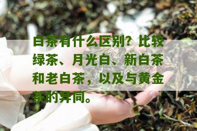 白茶有什么区别？比较绿茶、月光白、新白茶和老白茶，以及与黄金茶的异同。