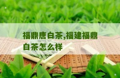 福鼎唐白茶,福建福鼎白茶怎么样