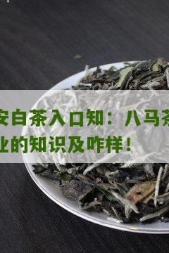 安白茶入口知：八马茶业的知识及咋样！