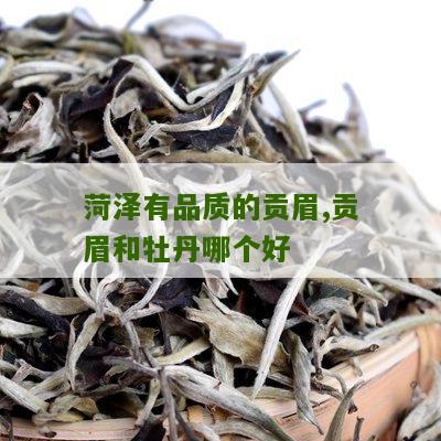 菏泽有品质的贡眉,贡眉和牡丹哪个好