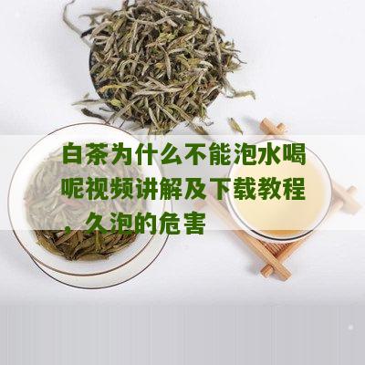 白茶为什么不能泡水喝呢视频讲解及下载教程，久泡的危害