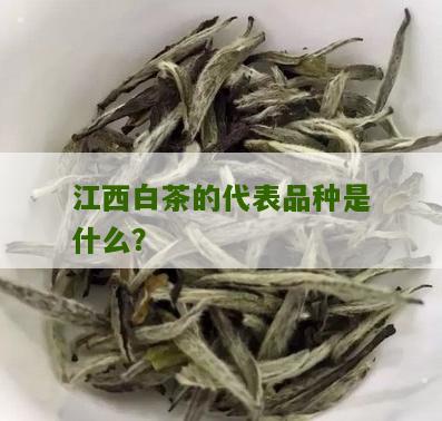 江西白茶的代表品种是什么？