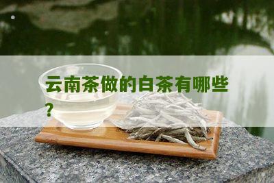 云南茶做的白茶有哪些？