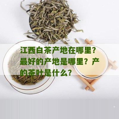 江西白茶产地在哪里？最好的产地是哪里？产的茶叶是什么？