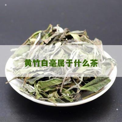 黄竹白毫属于什么茶