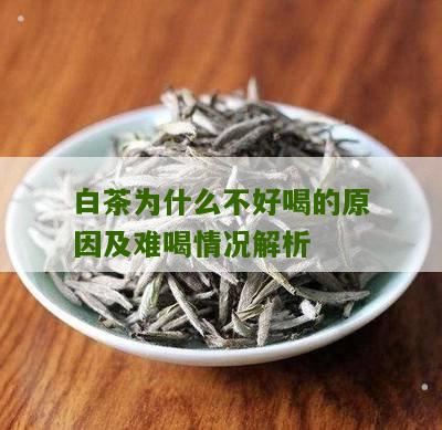 白茶为什么不好喝的原因及难喝情况解析