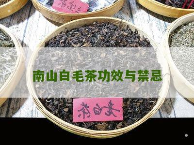 南山白毛茶功效与禁忌