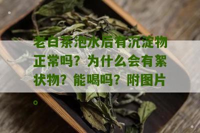 老白茶泡水后有沉淀物正常吗？为什么会有絮状物？能喝吗？附图片。