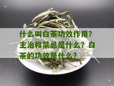 什么叫白茶功效作用？主治和禁忌是什么？白茶的功效是什么？