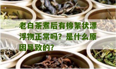 老白茶煮后有棉絮状漂浮物正常吗？是什么原因导致的？