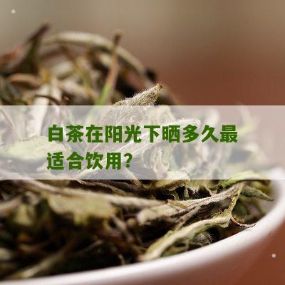 白茶在阳光下晒多久最适合饮用？