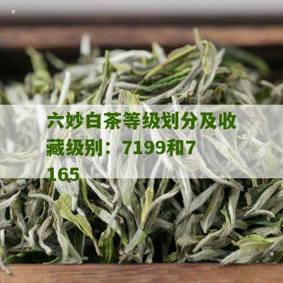 六妙白茶等级划分及收藏级别：7199和7165