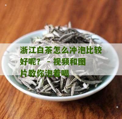 浙江白茶怎么冲泡比较好呢？ - 视频和图片教你泡着喝