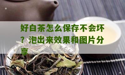 好白茶怎么保存不会坏？泡出来效果和图片分享