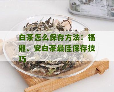 白茶怎么保存方法：福鼎、安白茶最佳保存技巧