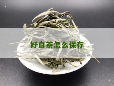 好白茶怎么保存