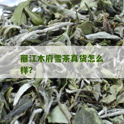 丽江木府雪茶真货怎么样？