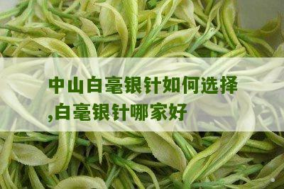 中山白毫银针如何选择,白毫银针哪家好