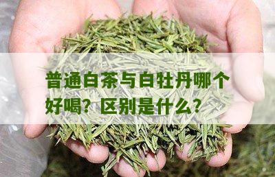 普通白茶与白牡丹哪个好喝？区别是什么？