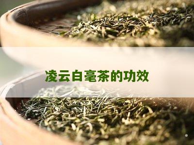 凌云白毫茶的功效