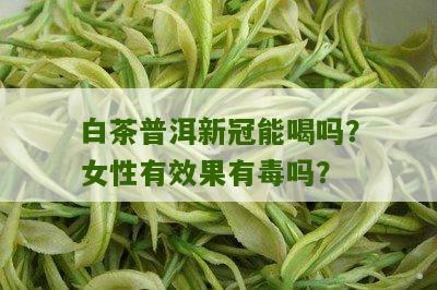 白茶普洱新冠能喝吗？女性有效果有毒吗？