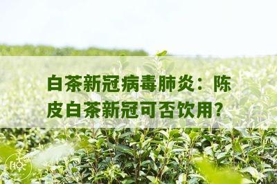 白茶新冠病毒肺炎：陈皮白茶新冠可否饮用？