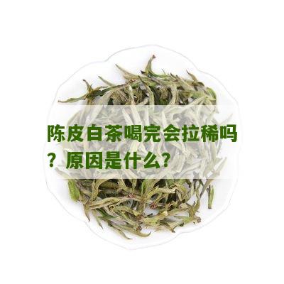 陈皮白茶喝完会拉稀吗？原因是什么？