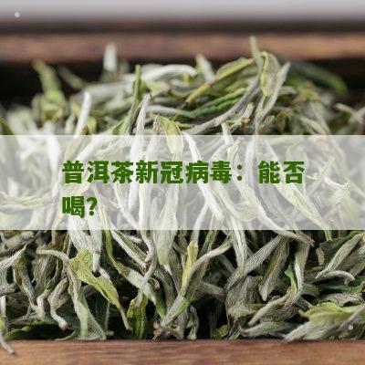 普洱茶新冠病毒：能否喝？