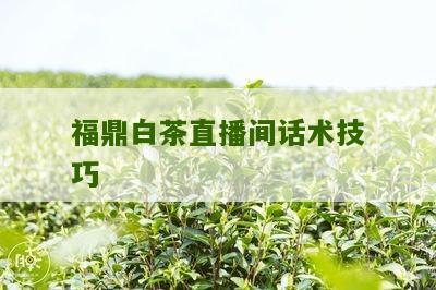 福鼎白茶直播间话术技巧