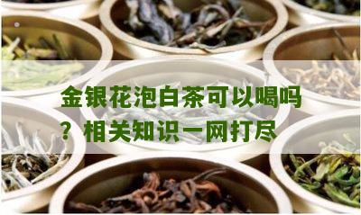 金银花泡白茶可以喝吗？相关知识一网打尽