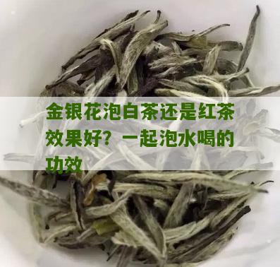 金银花泡白茶还是红茶效果好？一起泡水喝的功效