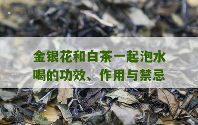 金银花和白茶一起泡水喝的功效、作用与禁忌