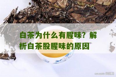 白茶为什么有腥味？解析白茶股腥味的原因