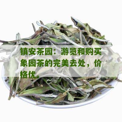 镇安茶园：游览和购买象园茶的完美去处，价格优。