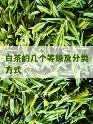 白茶的几个等级及分类方式