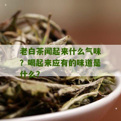 老白茶闻起来什么气味？喝起来应有的味道是什么？