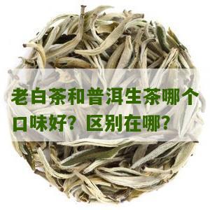 老白茶和普洱生茶哪个口味好？区别在哪？