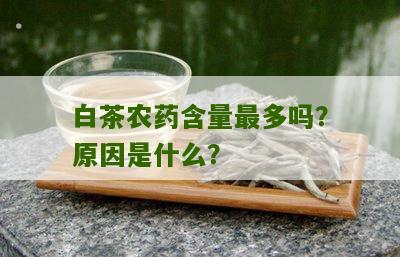 白茶农药含量最多吗？原因是什么？