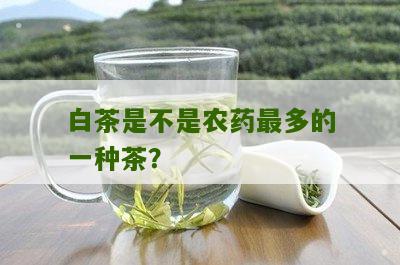 白茶是不是农药最多的一种茶？